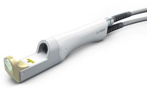 الکساندرانت